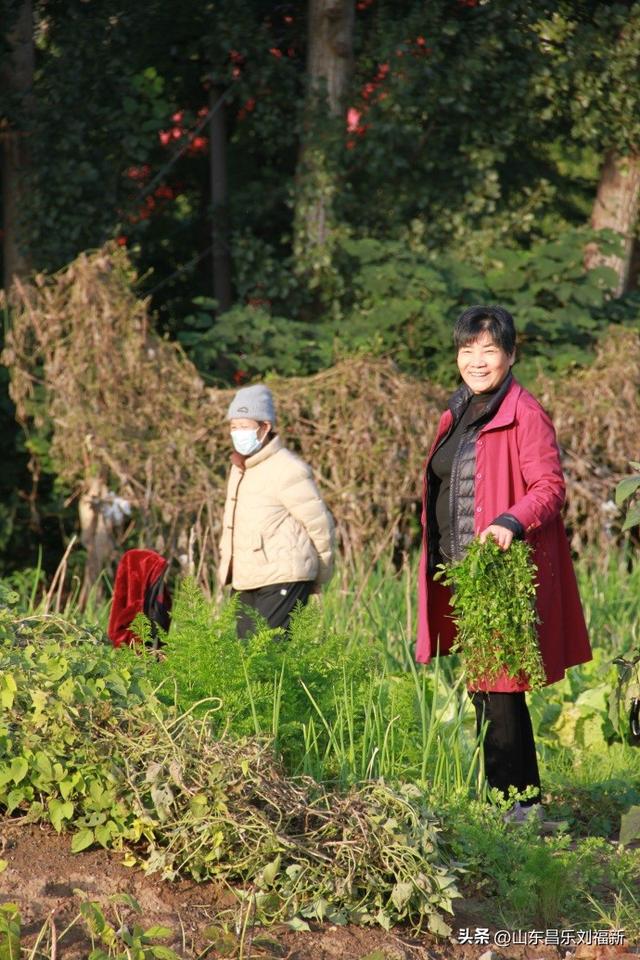2025年10月22日图片日记(下)