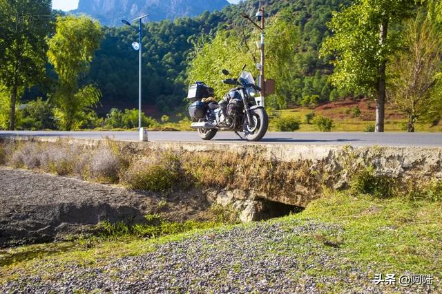 泸沽湖畔也有青青草原,除了牛马羊外,还放养着不少黑猪和白猪