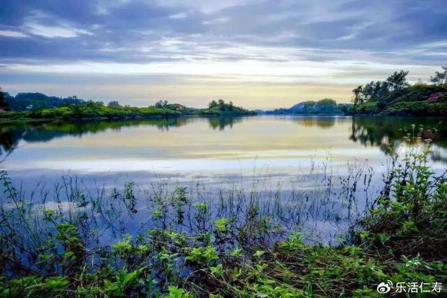 除了“YYDS”，我们还可以这样夸仁寿