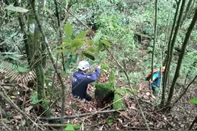 8岁男孩已失踪4天，最新进展图片