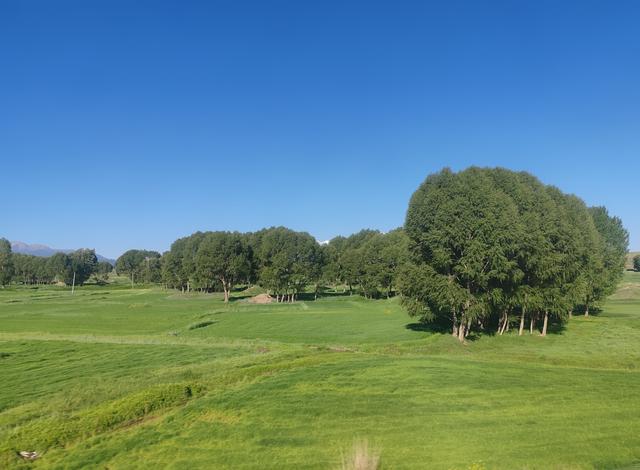 北疆行⑰——逛乌鲁木齐大巴扎