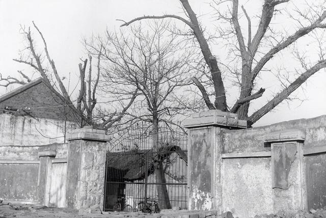 真凶拔掉满脸胡子改名，观看《刘胡兰》心存侥幸，却不知难逃法网