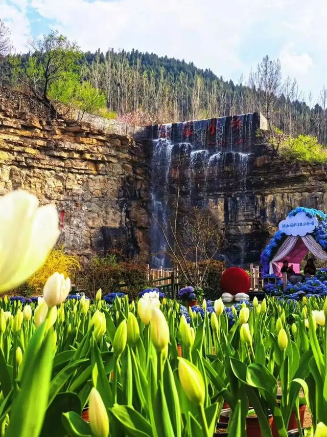 放春假・上春山 | 临沂景区宠粉「第四波」中小学生专享超多福利