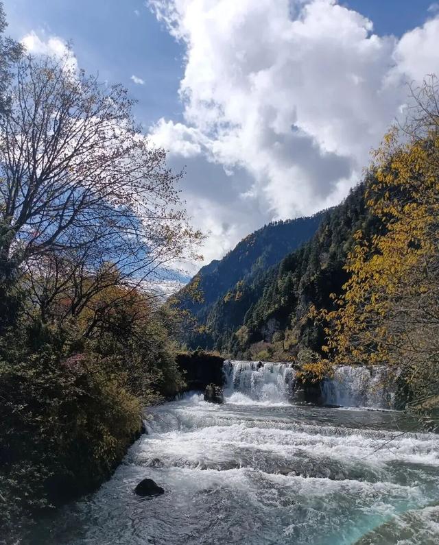 【美丽四川】美哉毕棚沟 好景缘森林‖管恒庆