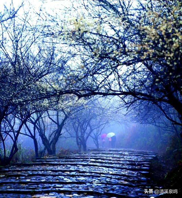 千年风雨中的文明通途——梅关古道