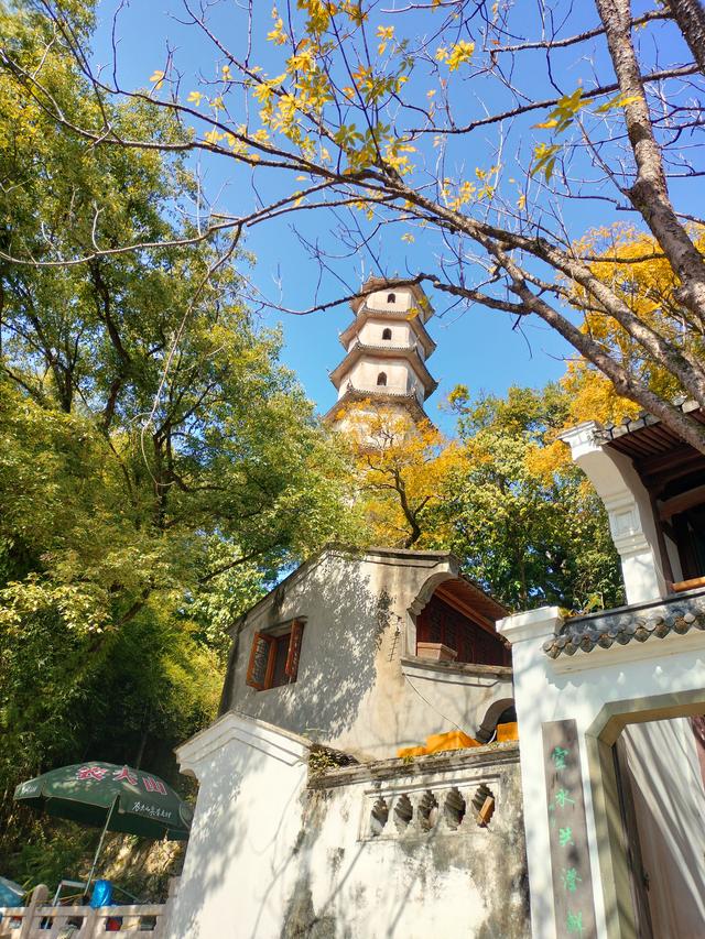 瓯越风情（三）：温州·诗屿浮江与市井温润