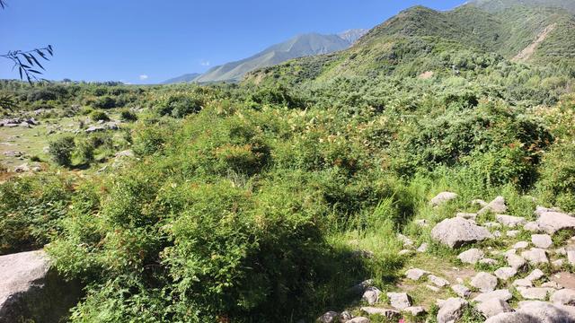 积石山县文学赋能采风活动临夏州本土作家走进积石山县石海景区
