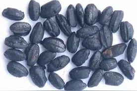 西方史观：中国只有3800年历史图片
