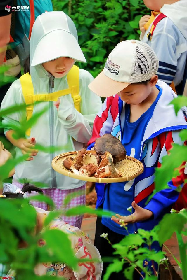 米易县草场镇晃桥村：“凉资源”激活热经济
