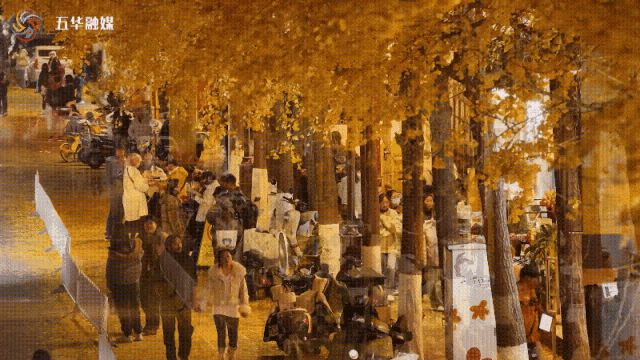 冬日美景在五华｜暮色如画，来文林街感受夜晚的“杏”动时刻