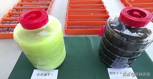 又一中国制造领先全球！稳坐世界第一宝座，美国也只能重金求购