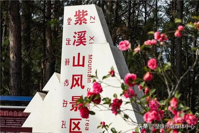 不限次入园！楚雄一景区门票年卡、优惠卡正在办理🤩