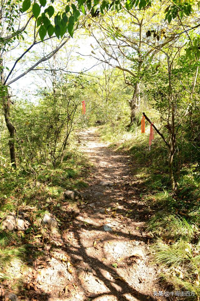 延庆应梦寺（五）：山巅极目收千嶂，林海听风涤尘心