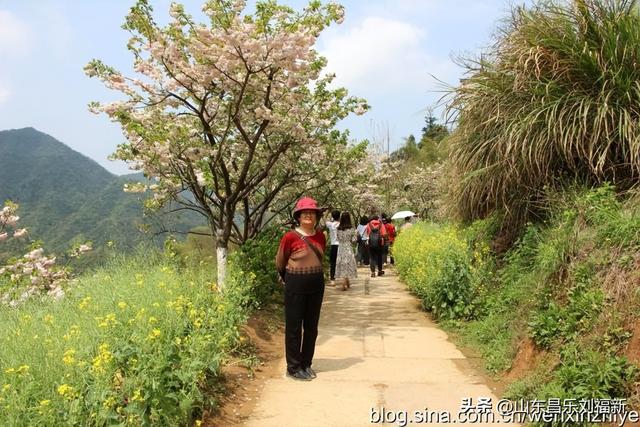 婺源篁岭旅游札记[三]（江西之旅第四十五篇）