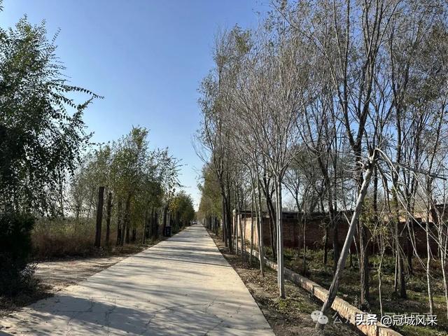 冠县乡韵·贾镇岑庄