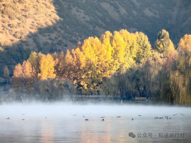 一年中最后一场华丽的秋色，鹤庆泸沽湖休闲5天游！11月底出发