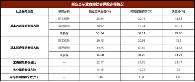全员社保：被看见的与被忽视的