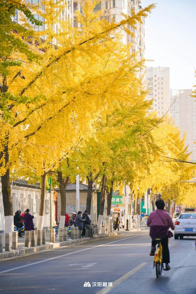 限时绝美！汉阳全城颜值巅峰，零换乘直达
