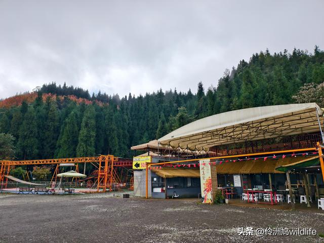 四川行(73)什邡红枫岭徒步到钟鼎寺