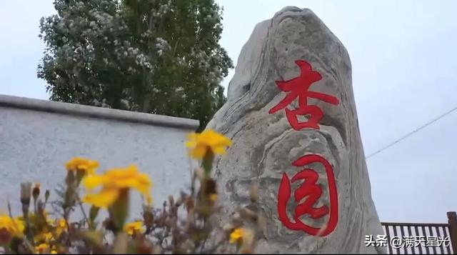 张建德|写在吴城“村晚”的一段记忆