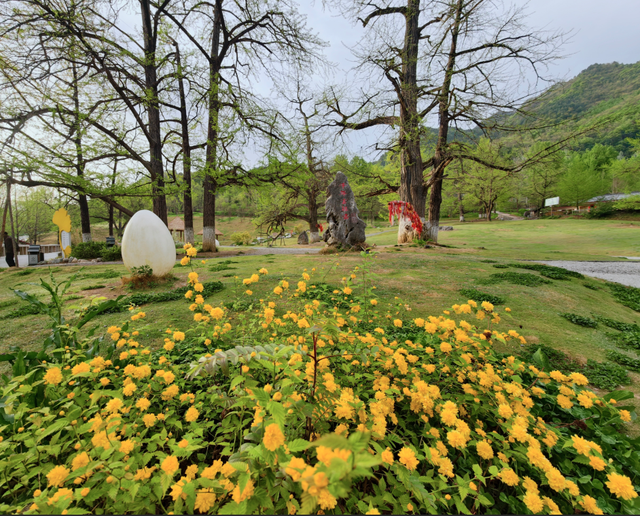 春满田河，古韵新生