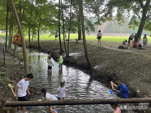 成都一个低调4A级森林公园,有240多年历史,都市人的“后花园”