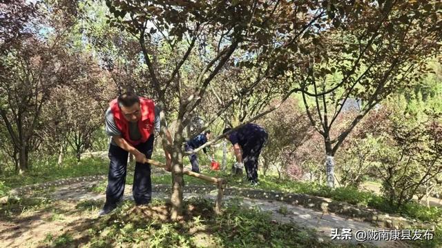康县：精心管护提品质，整洁靓丽展颜值