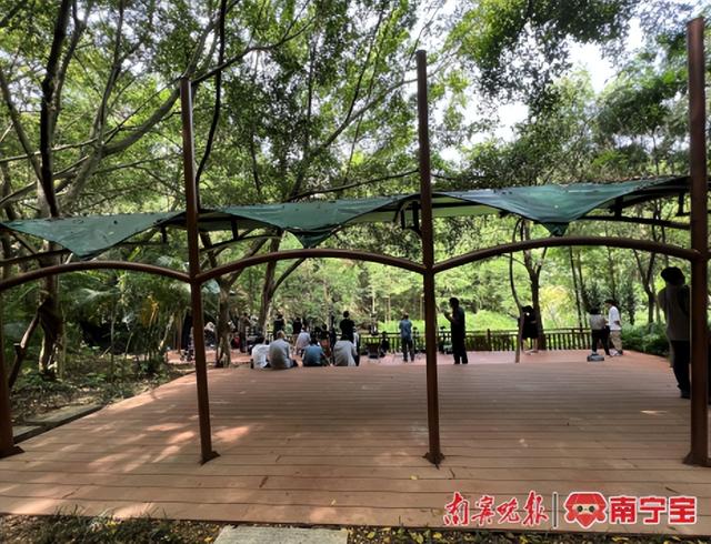 南宁市设置多处观鸟设施，为市民提供优质观鸟体验