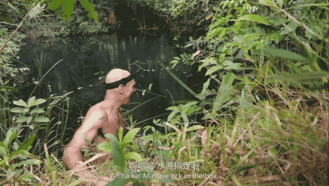 一集入坑！豆瓣9分神片《单挑荒野》续集回归！