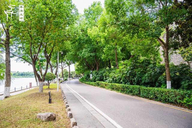 秦淮citywalk｜夏日寻凉之月牙湖