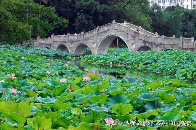别等空调房！雀儿山公园已备好天然“冷气”~