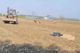 穷者多灾！老太太“捡花生”被卷进收割机，村民：她儿子刚过世！图片