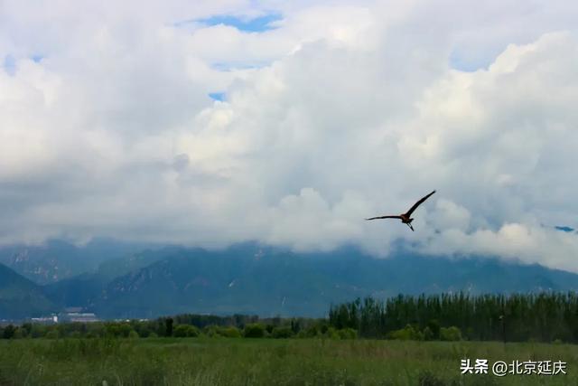 雨后延庆,氛围感MAX——