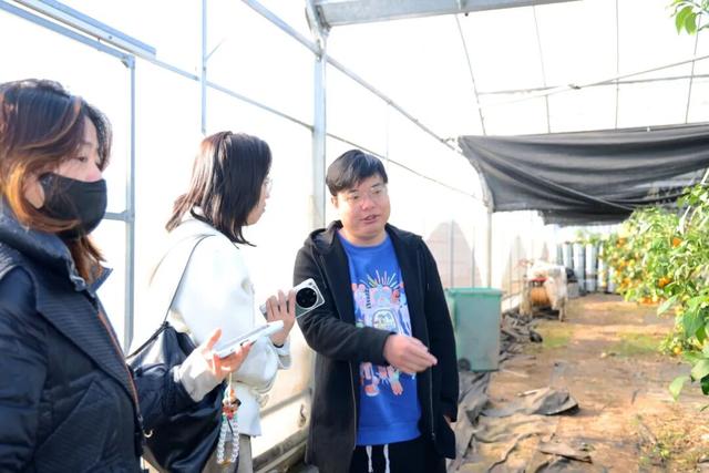 冬游丹徒江岛：生态“明珠”与产业“名镇”的绿色协奏