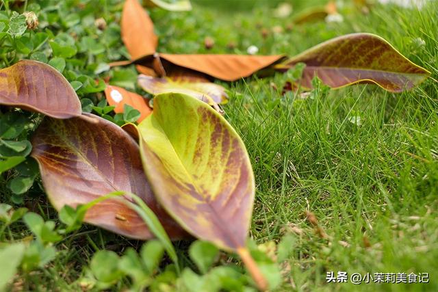 “早立秋冷飕飕，晚立秋热死牛”，今年立秋逢闰六月，是冷还是热