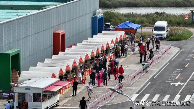 【情满双节游东营】​黄河口生态旅游区 国庆精彩瞬间 美好永不散场