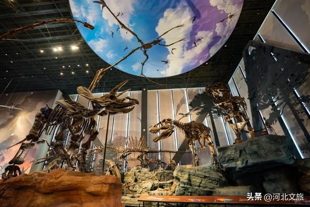 在保定，体验真实版“疯狂动物城”！