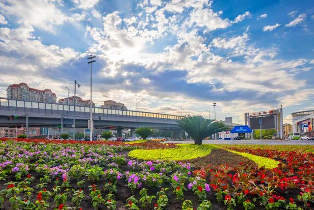 哈市香坊区持续提升“鸟语花香”绿色生态体验