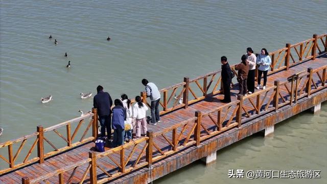 黄河口七夕漫游指南:与你赴一场湿地飞鸟与落日的浪漫之约