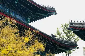 青岛即墨古城，去了才知道值不值得看。图片