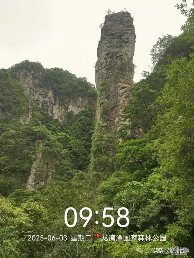 温州这个亲子游玩胜地、植物自然课堂孩子玩嗨家长不累