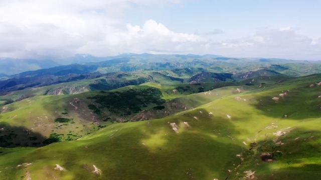 礼县文旅热力全开｜这个夏天，遍地是“爆款”