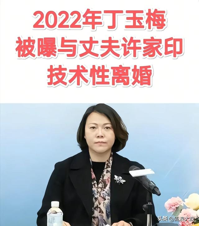 资产全没了！许家印550亿被抄底	，丁玉梅伦敦豪宅遭封