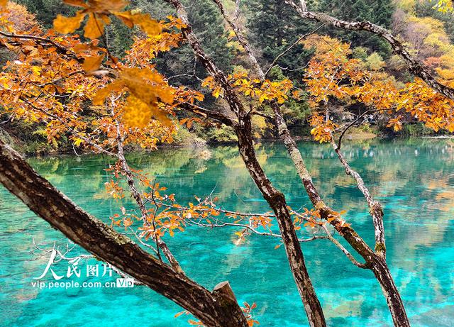 九寨沟 层林尽染