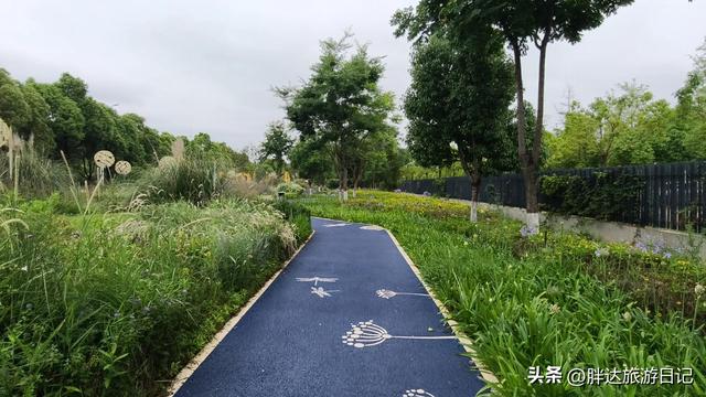 3000元玩转云南，第一天官渡古镇、云南省博物馆、斗南花卉市场