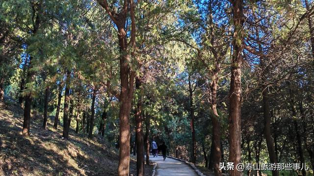 泰安：泰山腰一条鲜为人知的环山小道，却藏着深秋的惊艳