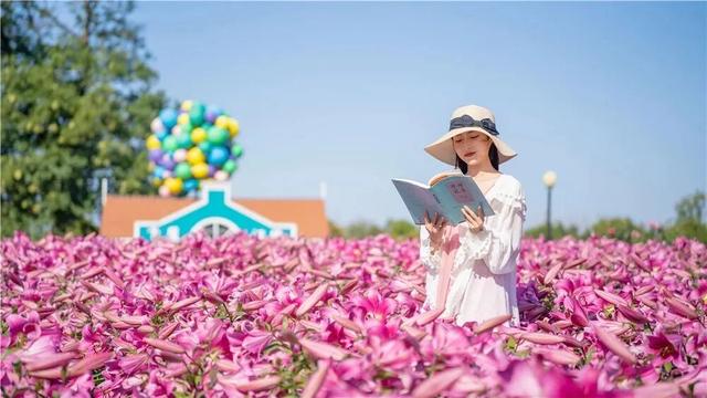 世界旅游日 | 世界那么大 大丰等你来🤗
