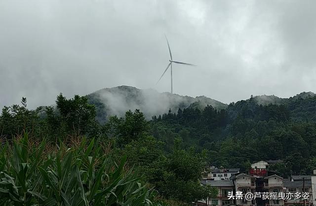 贵州茅石避暑过半,总结一下,说说体会(一)