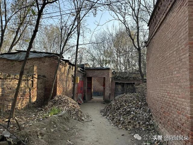 冠县乡韵·贾镇荆楼村