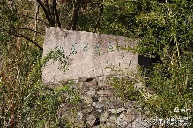 浙江深山里的“小婺源”,现在去景美人少,洗肺润心正好!